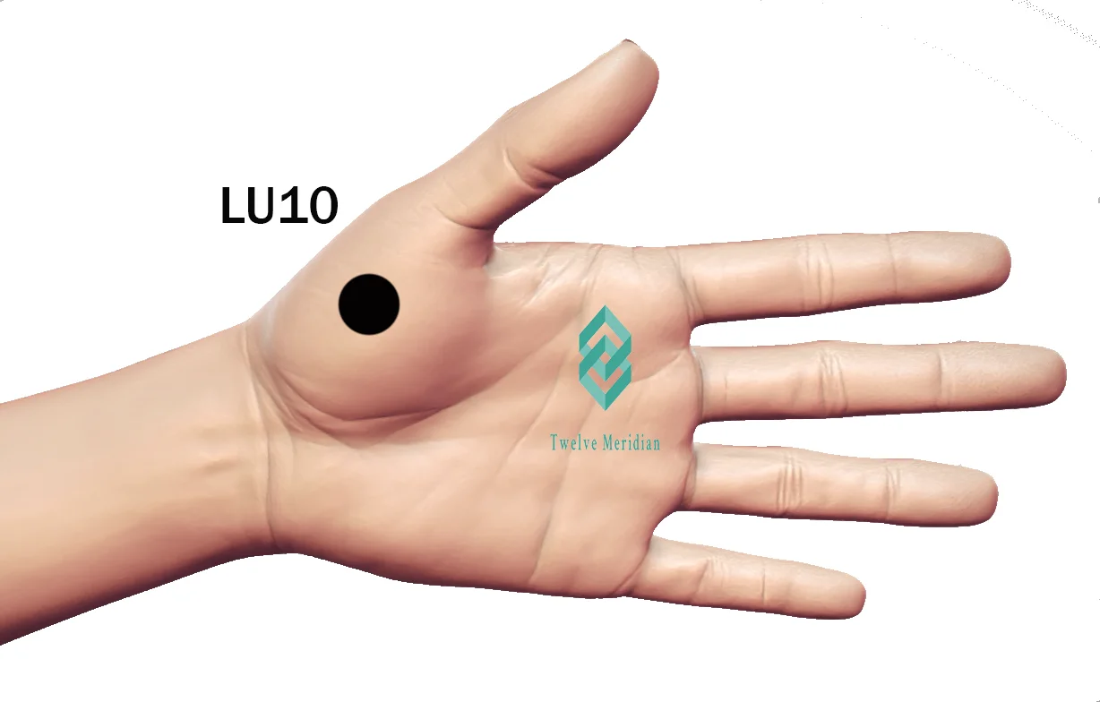 lu10-acupressure-point