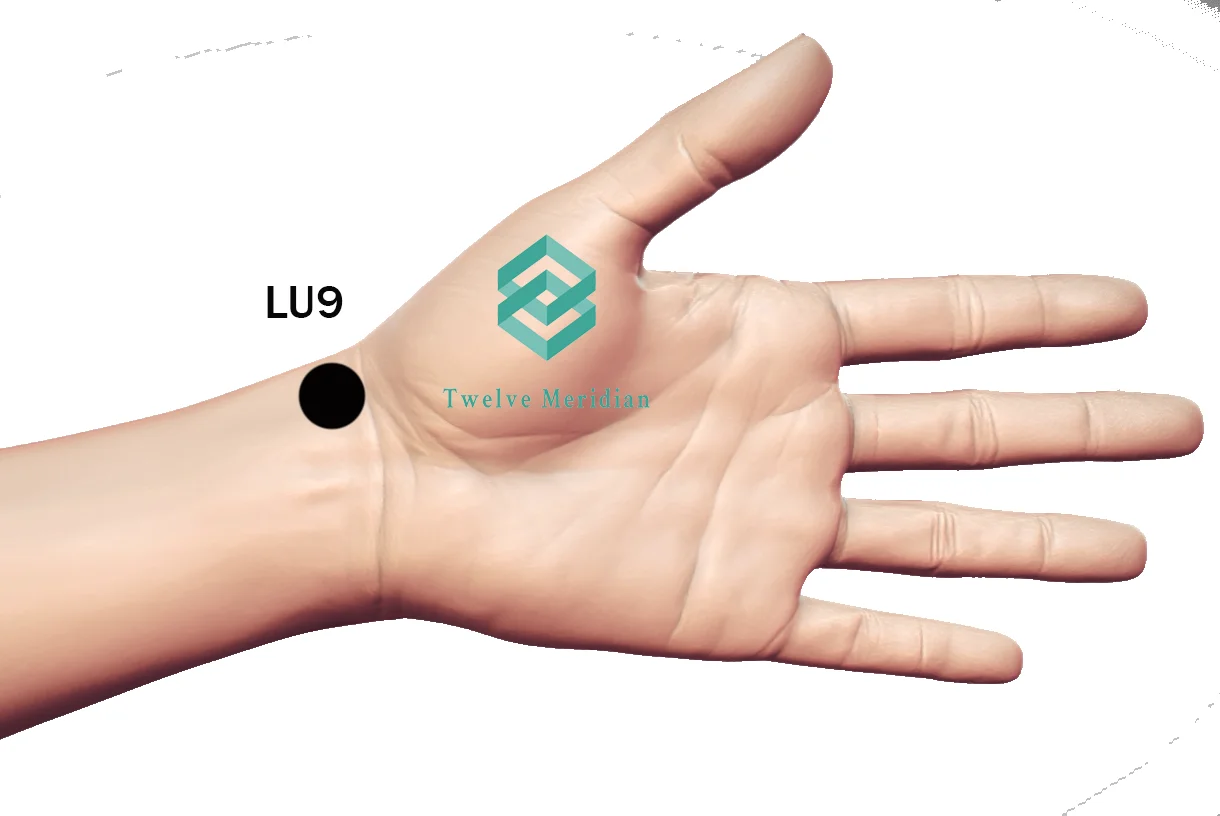 lu9-acupressure-point