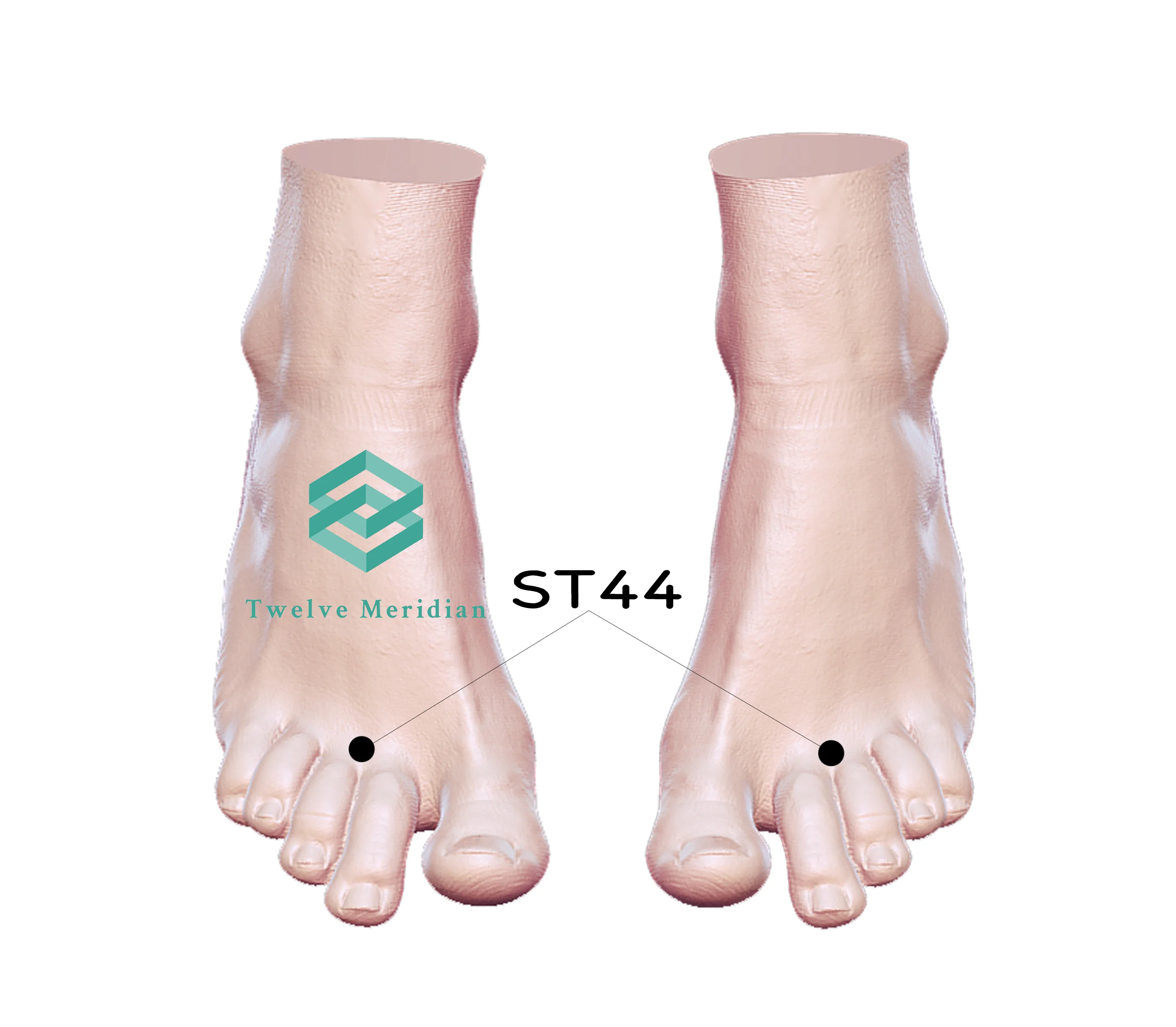 St44-acupressure-point-for-toothche