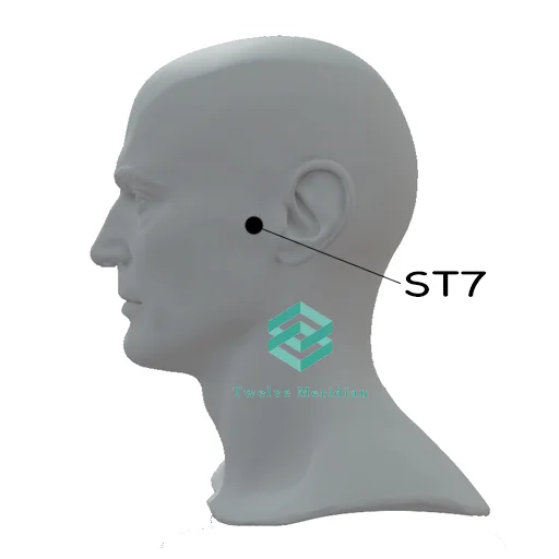 St7-acupressure-point-for-toothache
