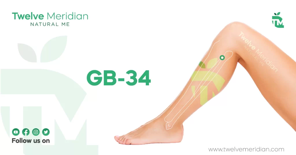 GB34-acupuncture-point-for-muscle-cramps