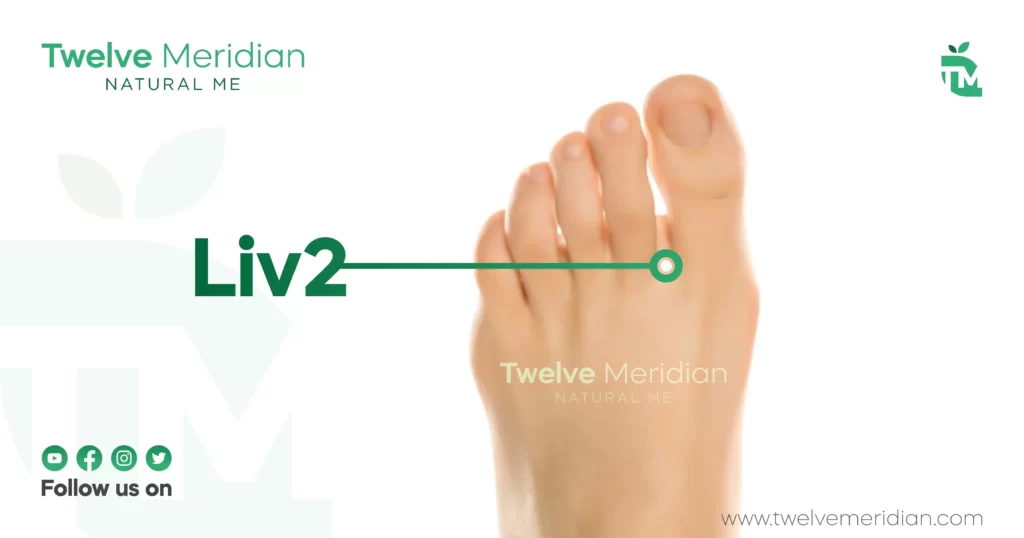 Liv2-acupuncture-point-for-mindful-sleep