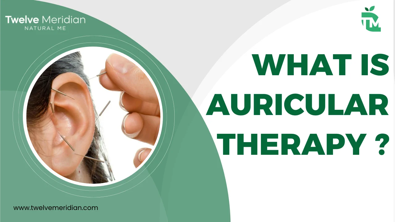 What Is Auricular Therapy ? | Twelve Meridian