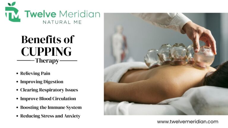 What Is Cupping Therapy Twelve Meridian