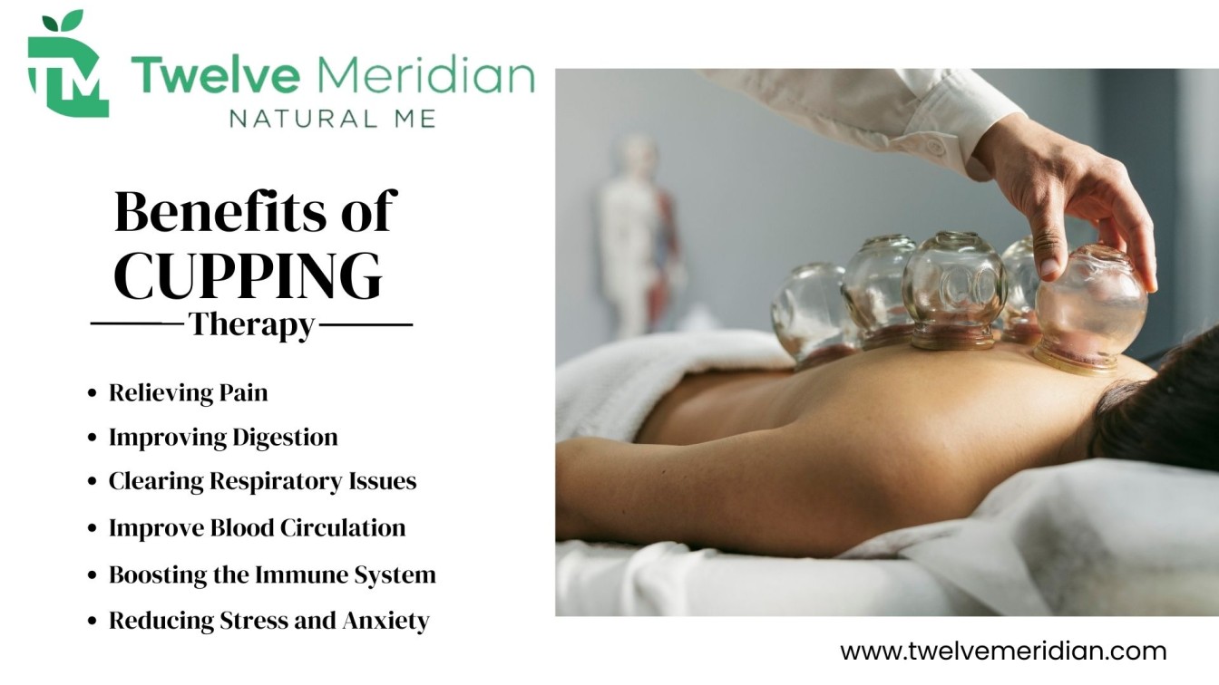 What Is Cupping Therapy Twelve Meridian